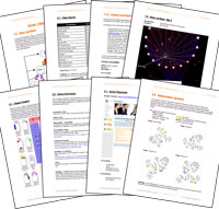 Website Analysis Website Analysis