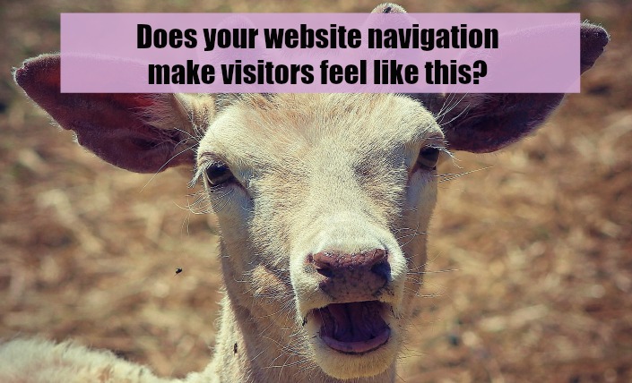 Website navigation should not be overwhelming