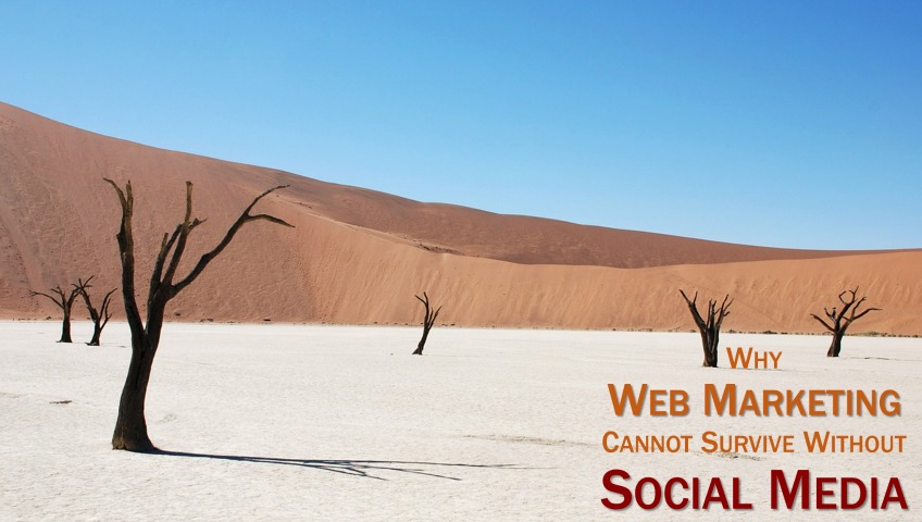 web marketing can't survive without social media