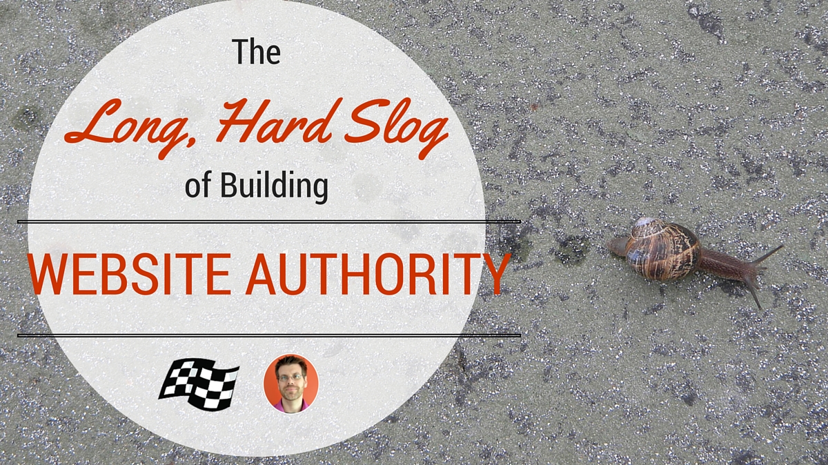 Building website authority