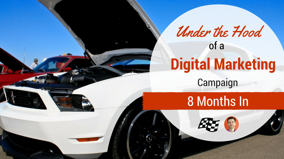 8 months into digital marketing campaign