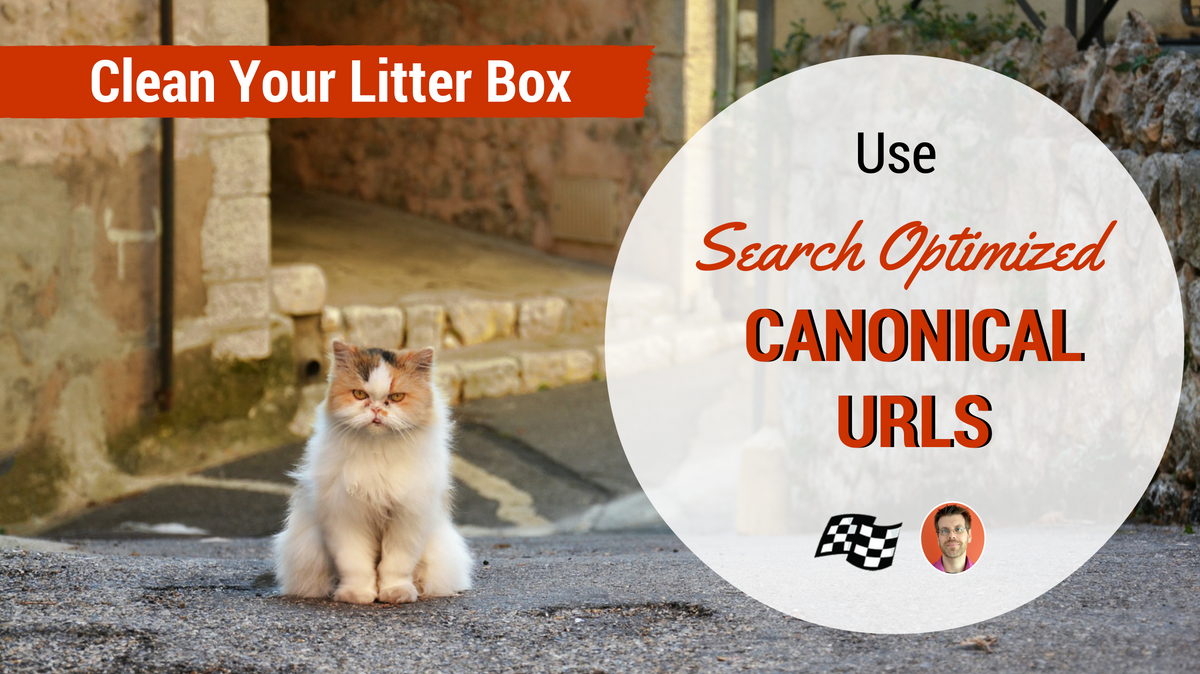 search optimized canonical urls