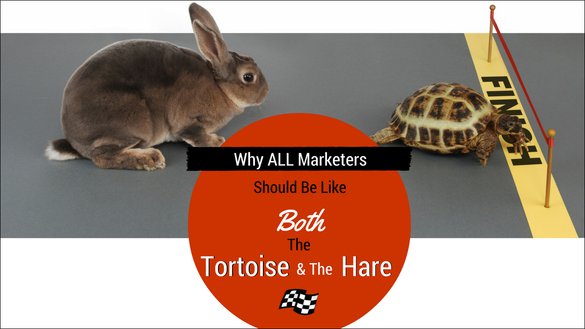 marketers should be like tortoise and hare