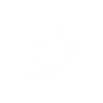 Twitter logo white
