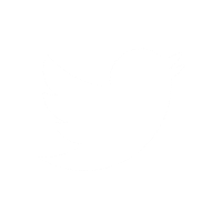 Twitter logo white